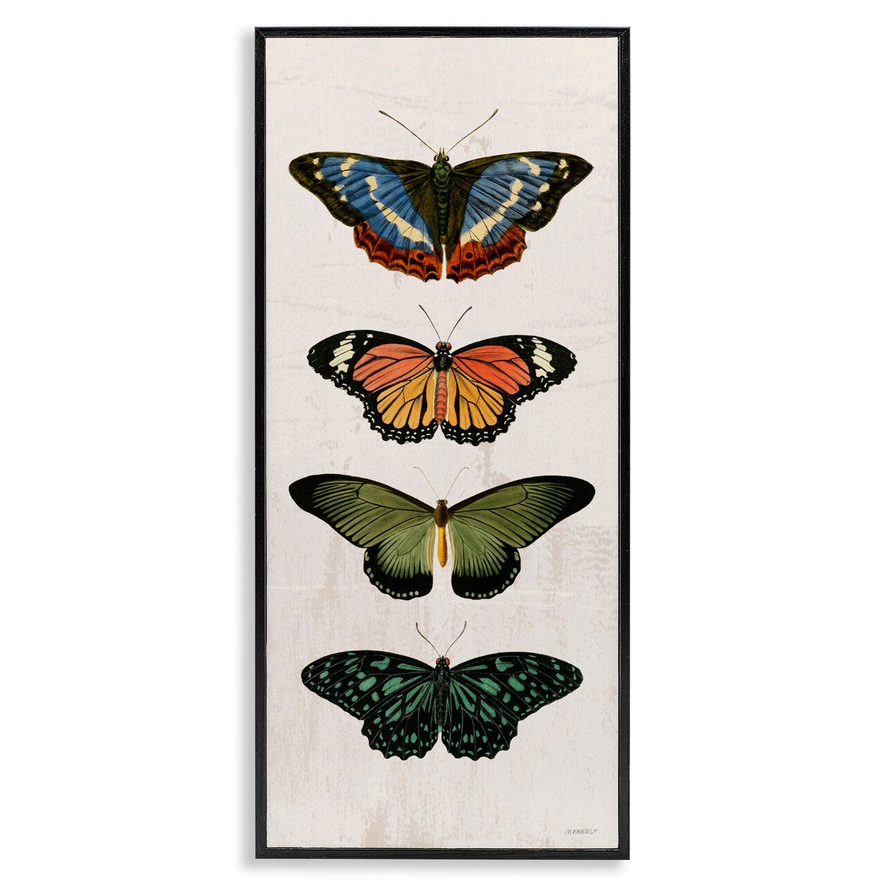 Stupell Industries Butterfly Lineup Vintage Framed Giclee, design by Dan Meneely